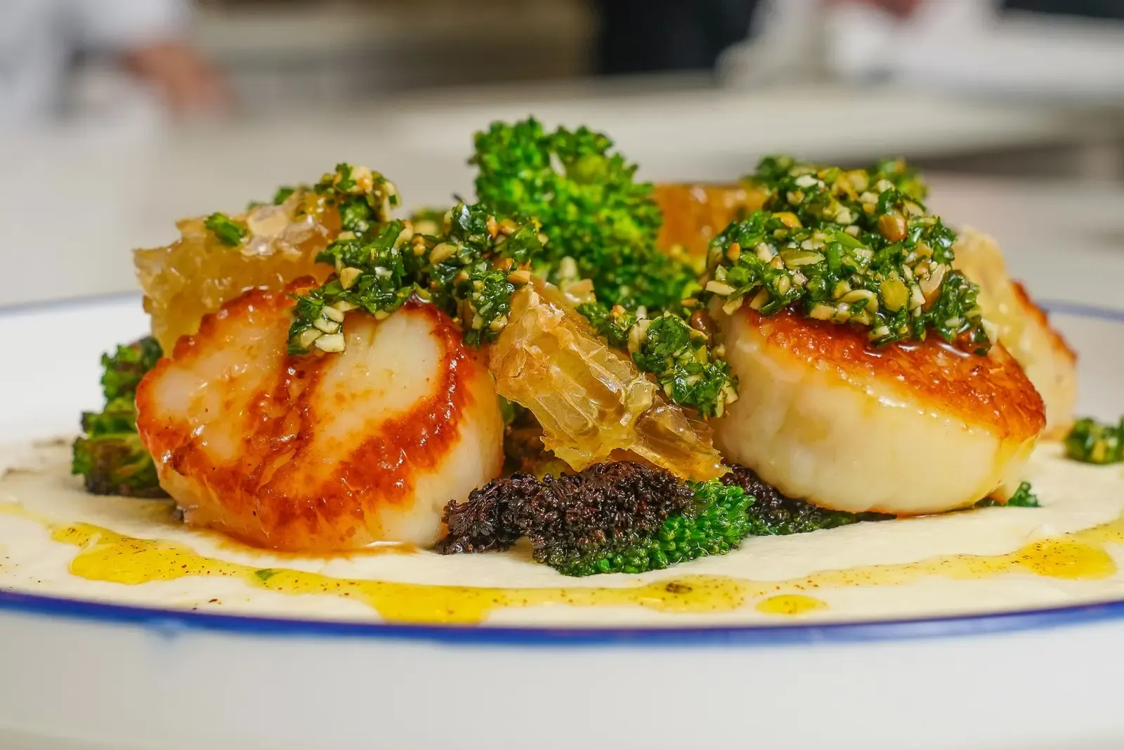 Private Chef Services in Philadelphia - Chef Matts Culinary Creations